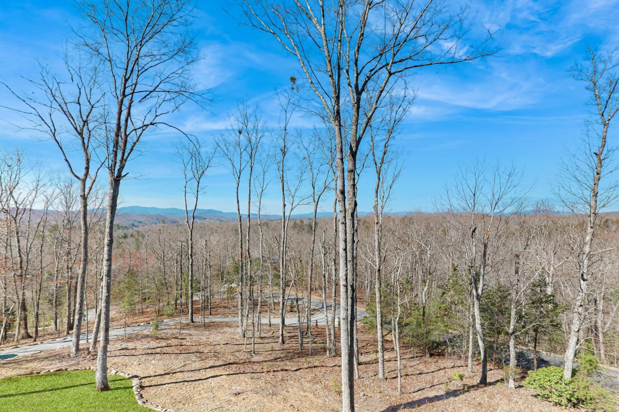 Morganton Bougie Bear Cabin מראה חיצוני תמונה